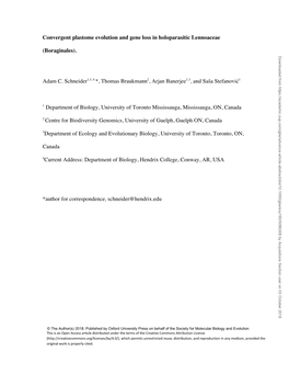 Convergent Plastome Evolution and Gene Loss in Holoparasitic Lennoaceae