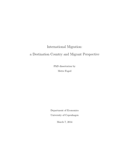 International Migration: a Destination Country and Migrant Perspective