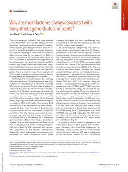 Why Are Momilactones Always Associated with Biosynthetic Gene Clusters in Plants? COMMENTARY Juan Zhanga,B and Reuben J