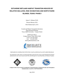 Estuarine Wetland Habitat Transition Induced by Relative Sea-Level Rise on Mustang and North Padre Islands, Texas: Phase I