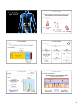 Fluid, Electrolyte & Ph Balance