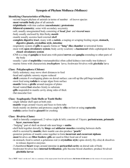 Synopsis of Phylum Mollusca (Molluscs)