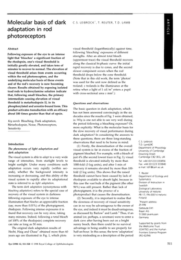 Molecular Basis of Dark Adaptation in Rod Photoreceptors