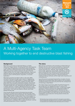 A Multi-Agency Task Team Working Together to End Destructive Blast Fishing