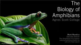 BOA5.1-2 Frog Biology, Taxonomy and Biodiversity