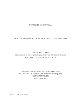 Learning Activation Functions in Deep Neural Networks