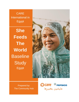 She-Feeds-The-World-Sftw-Egypt-Baseline-1.Pdf