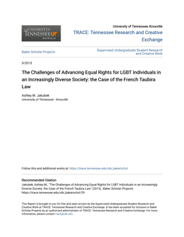The Challenges of Advancing Equal Rights for LGBT Individuals in an Increasingly Diverse Society: the Case of the French Taubira Law