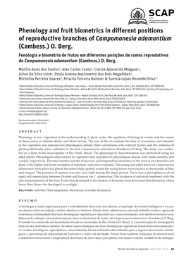 Phenology and Fruit Biometrics in Different Positions of Reproductive Branches of Campomanesia Adamantium (Cambess.) O