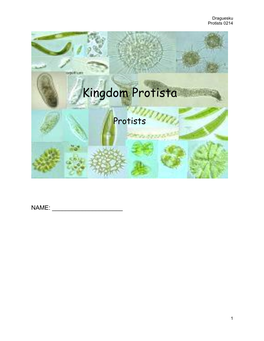 Kingdom Protista