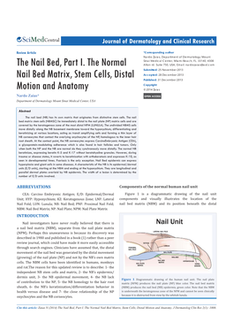 The Nail Bed, Part I. the Normal Nail Bed Matrix, Stem Cells, Distal Motion and Anatomy