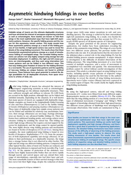 Asymmetric Hindwing Foldings in Rove Beetles