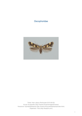 Oecophoridae