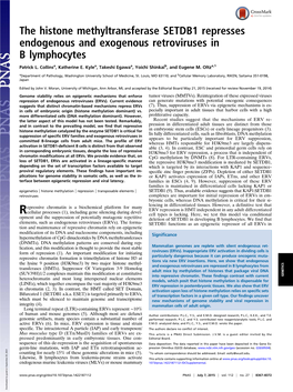The Histone Methyltransferase SETDB1 Represses Endogenous and Exogenous Retroviruses in B Lymphocytes