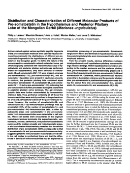 Distribution and Characterization of Different Molecular Products of Pro