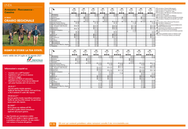 Avezzano - Roccasecca - + PE385 PE511 PE387 PE513 PE389 PE515 PE391 PE517 PE393 B Fermata A: Bivio Stazione SR 82 | | | | | | | | | C Fermata A: V