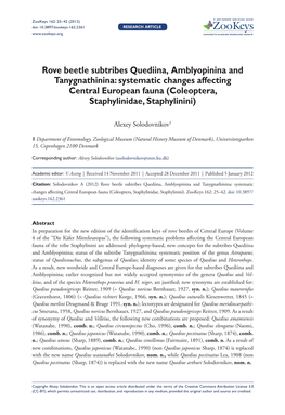 Rove Beetle Subtribes Quediina, Amblyopinina and Tanygnathinina