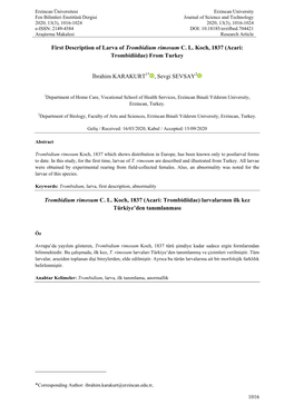 First Description of Larva of Trombidium Rimosum CL Koch, 1837