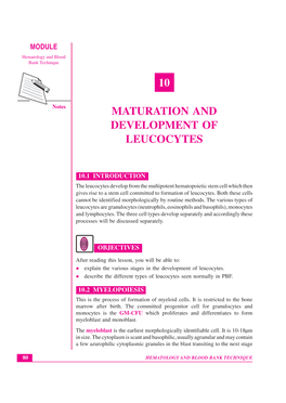 10 Maturation and Development of Leucocytes