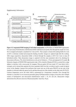 Supplementary Information