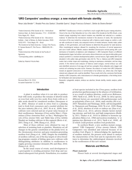 Seedless Orange: a New Mutant with Female Sterility