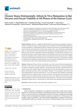 Chronic Stress Detrimentally Affects in Vivo Maturation in Rat Oocytes and Oocyte Viability at All Phases of the Estrous Cycle