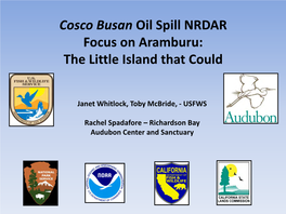 Cosco Busan Oil Spill NRDAR Focus on Aramburu: the Little Island That Could