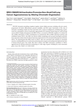 BRG1/SMARCA4 Inactivation Promotes Non–Small Cell Lung Cancer Aggressiveness by Altering Chromatin Organization