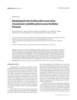 Morphological Traits of Sedum Albumsensu Stricto (Crassulaceae)