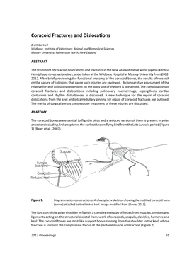 Coracoid Fractures and Dislocations