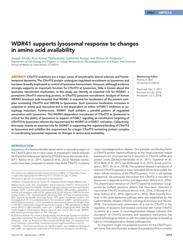 WDR41 Supports Lysosomal Response to Changes in Amino Acid Availability
