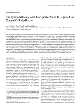 The Lysosomal Sialic Acid Transporter Sialin Is Required for Normal CNS Myelination