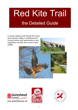 Red Kite Trail the Detailed Guide