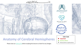 Anatomy of Cerebral Hemispheres Doctors Notes Notes/Extra Explanation Please View Our Editing File Before Studying This Lecture to Check for Any Changes