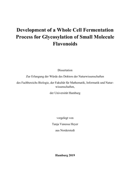 Development of a Whole Cell Fermentation Process for Glycosylation of Small Molecule Flavonoids