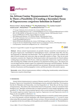 An African Canine Trypanosomosis Case Import: Is There a Possibility of Creating a Secondary Focus of Trypanosoma Congolense Infection in France?