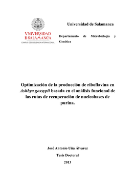 Optimización De La Producción De Riboflavina En Ashbya Gossypii Basada En El Análisis Funcional De Las Rutas De Recuperación De Nucleobases De Purina