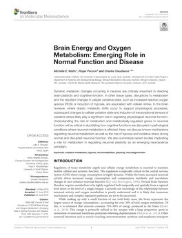 Brain Energy and Oxygen Metabolism: Emerging Role in Normal Function and Disease