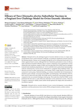 Efficacy of Two Chlamydia Abortus Subcellular Vaccines in a Pregnant Ewe Challenge Model for Ovine Enzootic Abortion