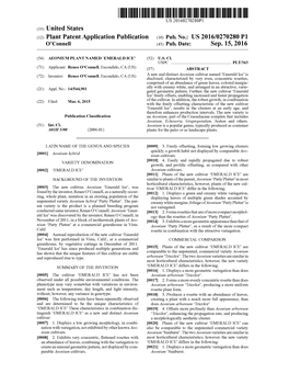 (12) Plant Patent Application Publication (10) Pub