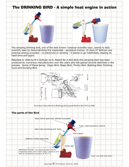 Drinking Bird.Cdr:Coreldraw