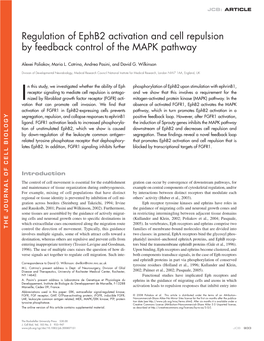 Regulation of Ephb2 Activation and Cell Repulsion by Feedback Control Of