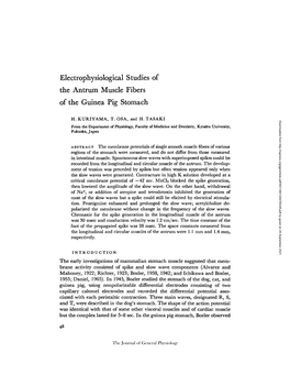 Electrophysiological Studies the Antrum Muscle Fibers of the Guinea