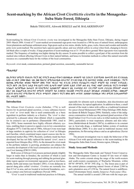 Scent-Marking by the African Civet Civettictis Civetta in the Menagesha– Suba State Forest, Ethiopia