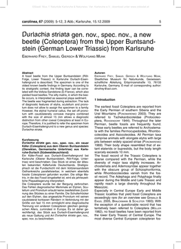 Durlachia Striata Gen. Nov., Spec. Nov., a New Beetle (Coleoptera) from the Upper Buntsand- Stein (German Lower Triassic) from Karlsruhe