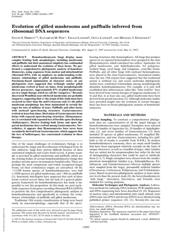 Evolution of Gilled Mushrooms and Puffballs Inferred from Ribosomal DNA Sequences