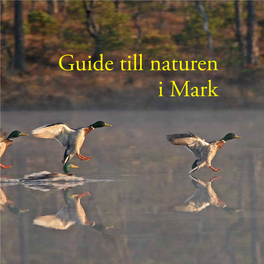 Guide Till Naturen I Mark Smålom