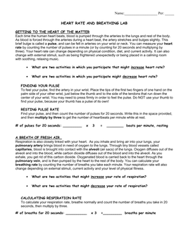 Heart Rate and Respiration