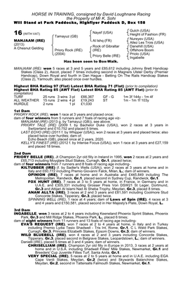 HORSE in TRAINING, Consigned by David Loughnane Racing the Property of Mr K. Sohi Will Stand at Park Paddocks, Highflyer Paddock D, Box 158