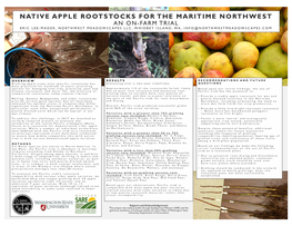 Malus Fusca Poster